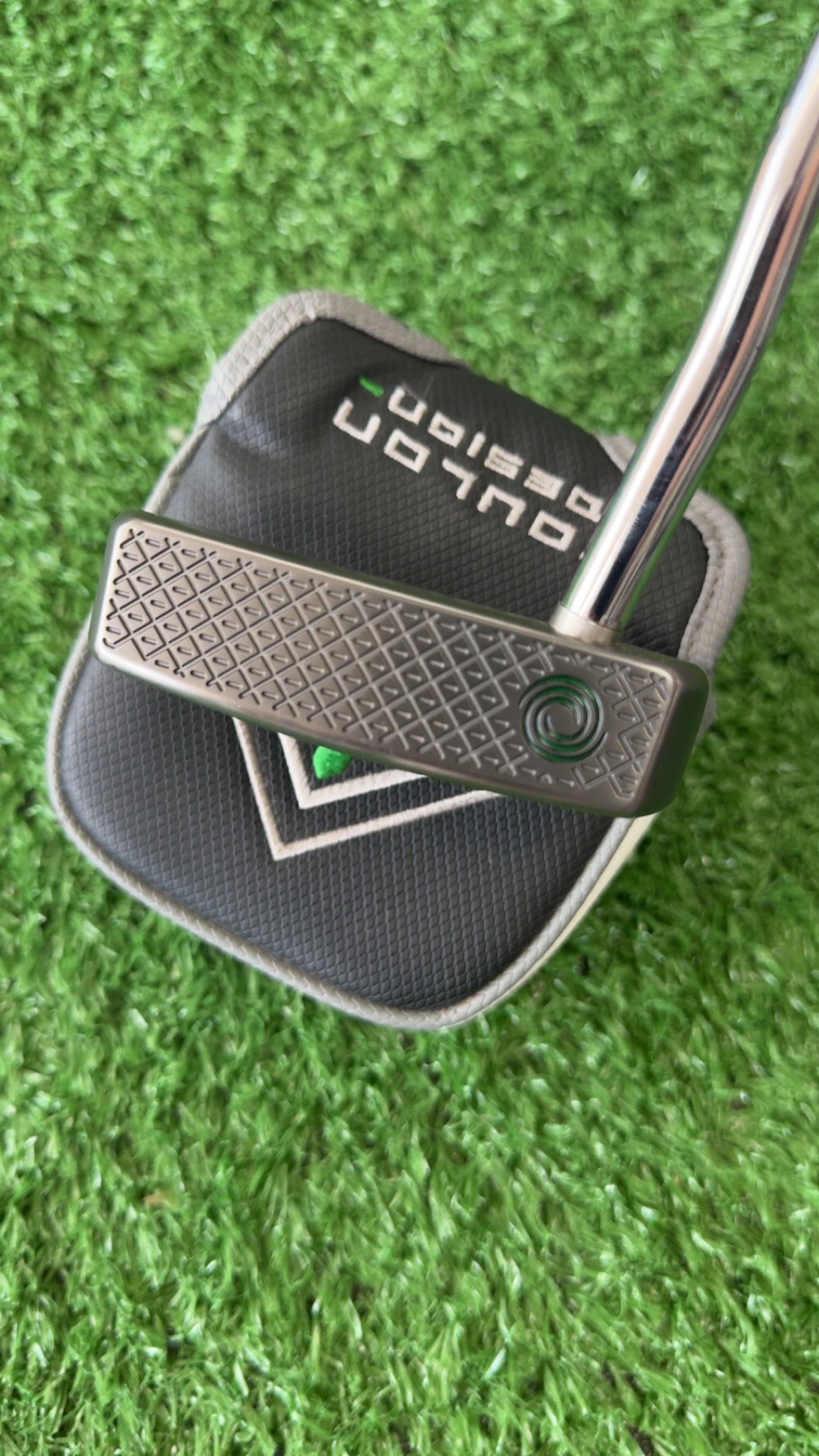 Toulon Memphis 34”