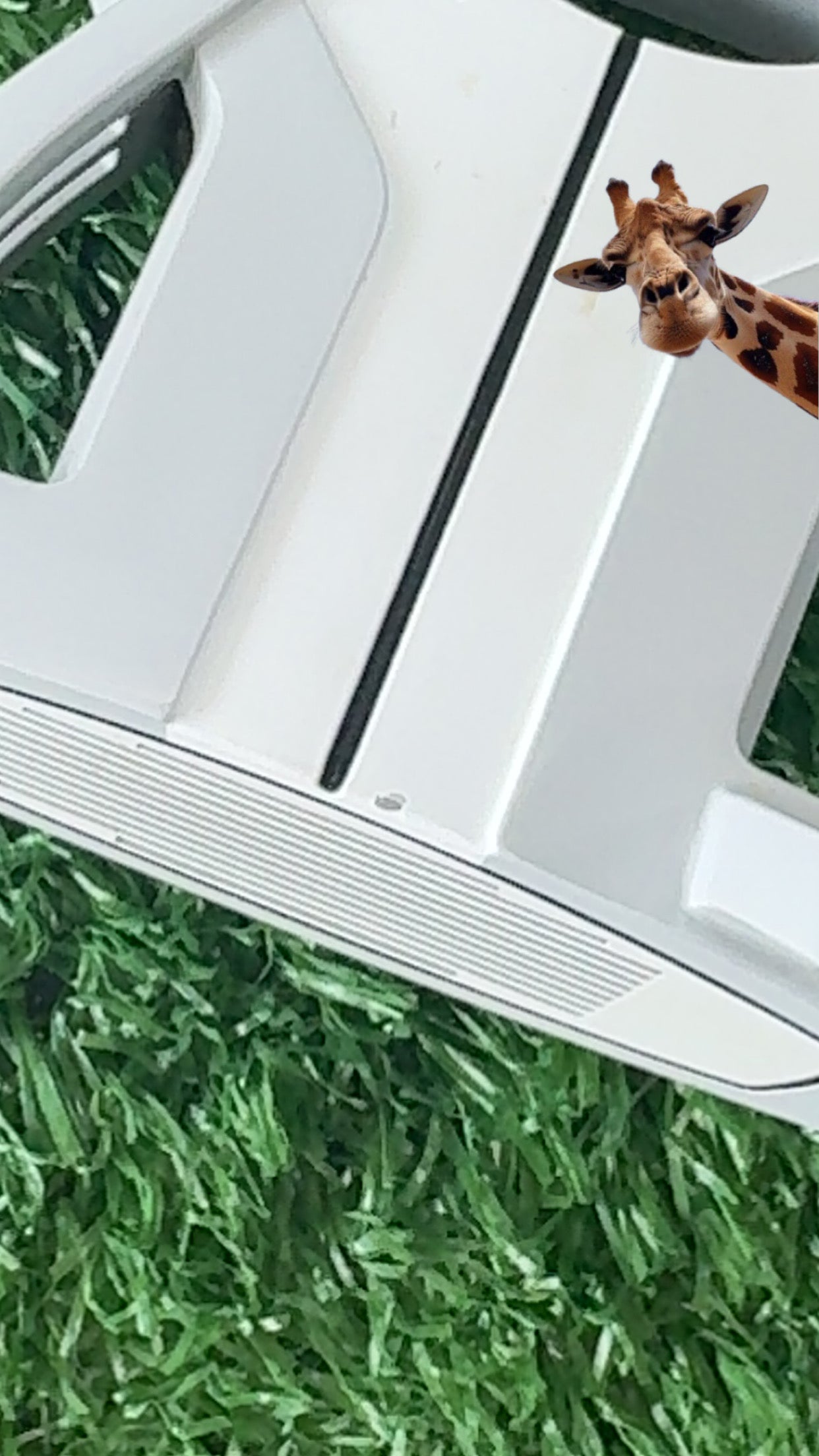 Spider X - LA Golf P SoHo shaft 34”